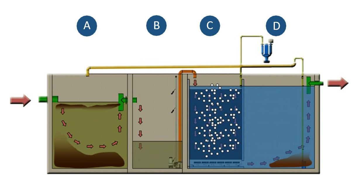 Diagrama del proceso Biokube